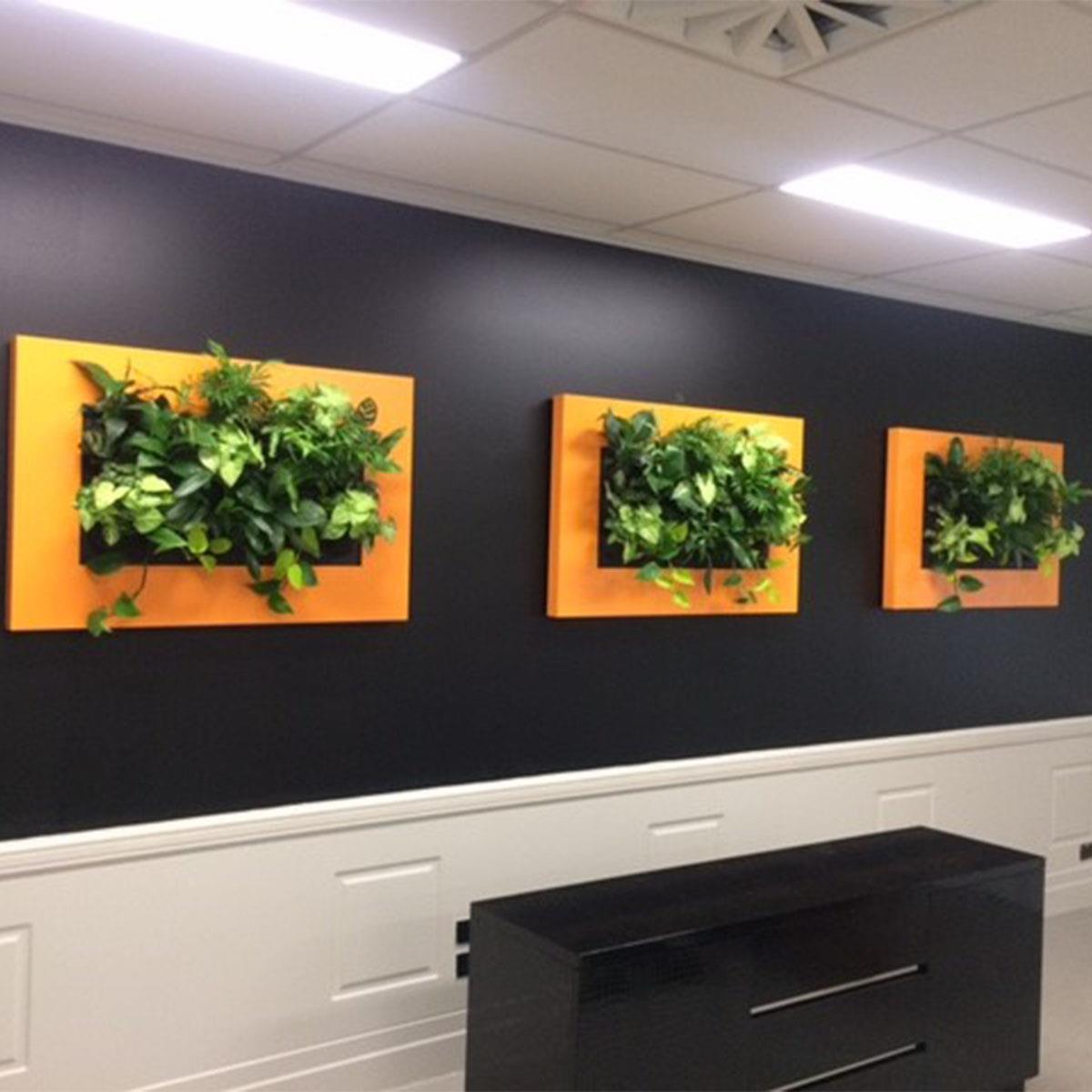 wall pots